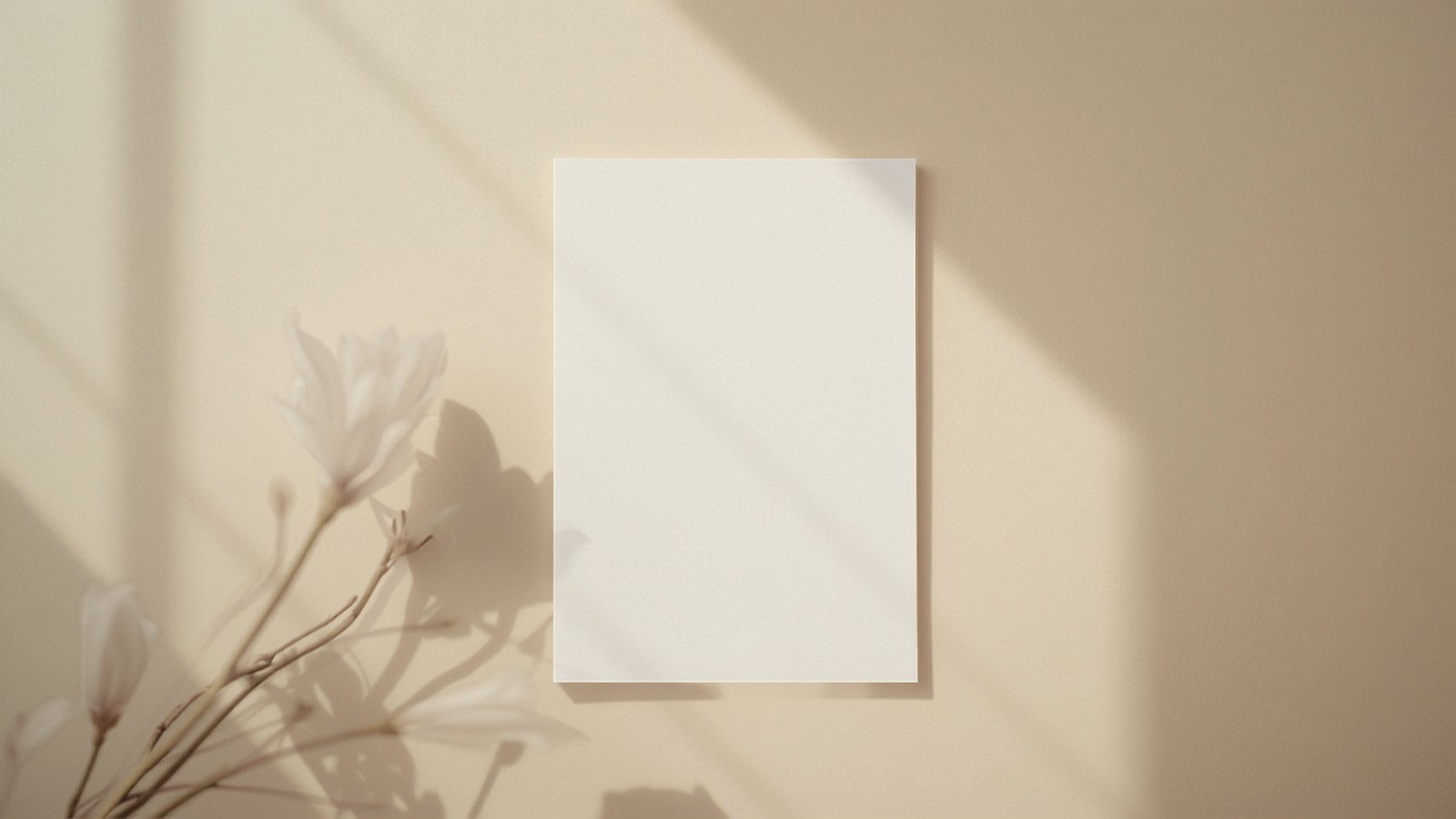 A single printed media kit resting against a sunlit wall, shown as a plain sheet without any visible text or branding
